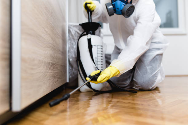 Best Local Pest Control Services  in Robins Af, GA