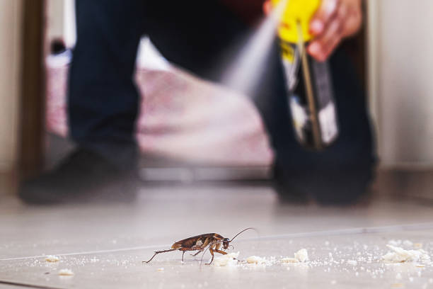 Best Pest Prevention Services  in Robins Af, GA